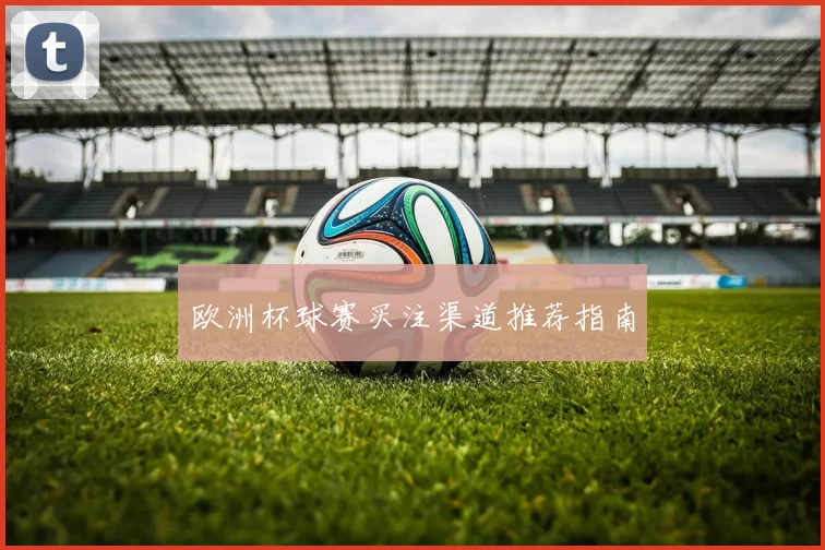 欧洲杯球赛买注渠道推荐指南