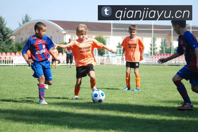 App Interface Preview